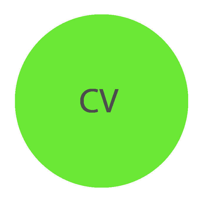 CV Icon