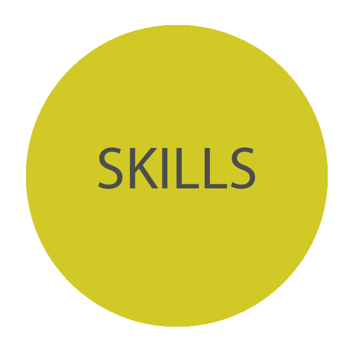 Skills Icon